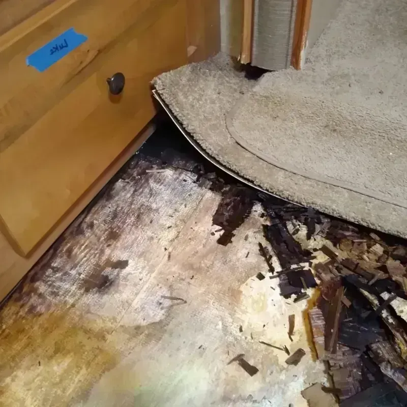 Wood Floor Water Damage in Antrim County, MI